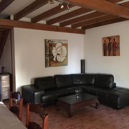 Finca Andalucia 科尼尔-德拉弗龙特拉 外观 照片