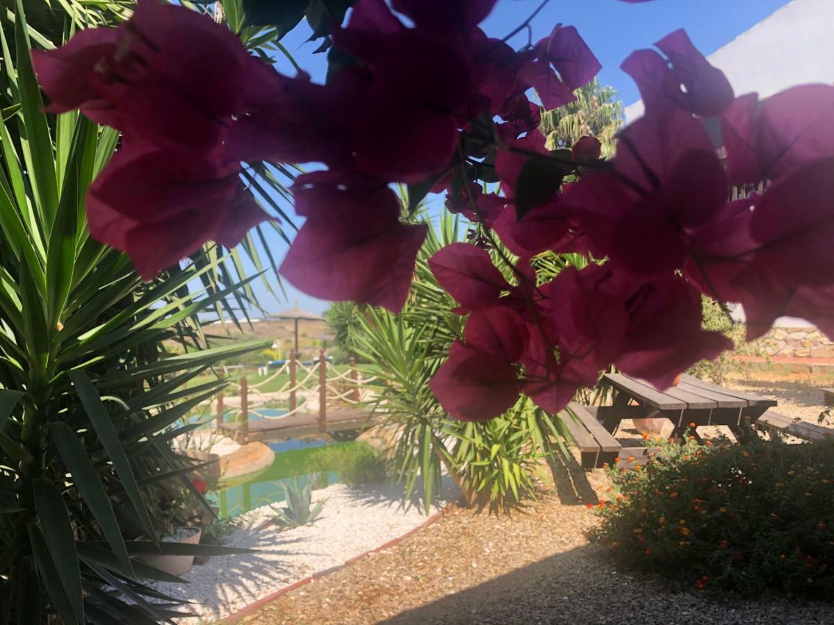 Finca Andalucia 科尼尔-德拉弗龙特拉 外观 照片