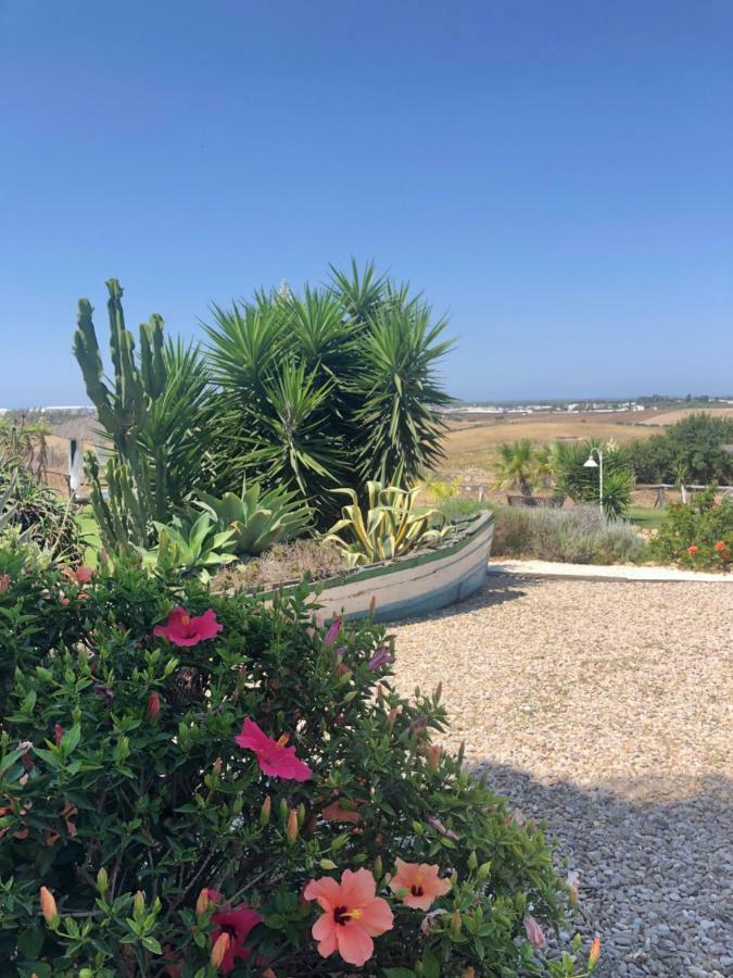 Finca Andalucia 科尼尔-德拉弗龙特拉 外观 照片