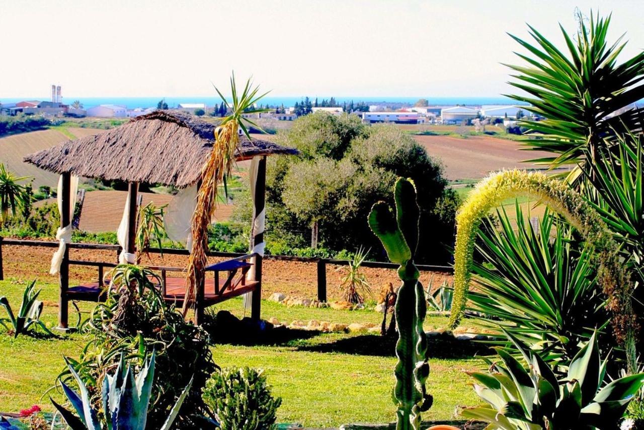 Finca Andalucia 科尼尔-德拉弗龙特拉 外观 照片